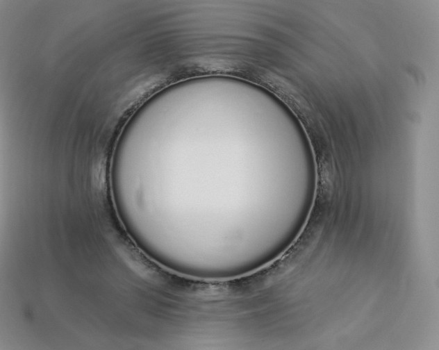 X0000114030398200910161824