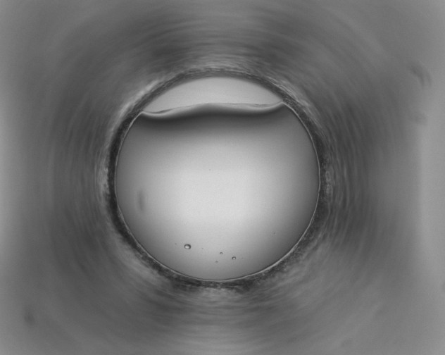 X0000114030399200910161824