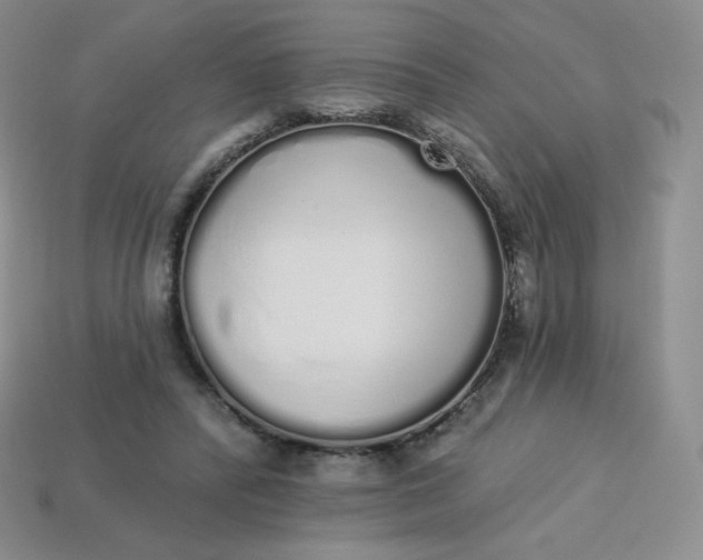 X0000114030400200910161824