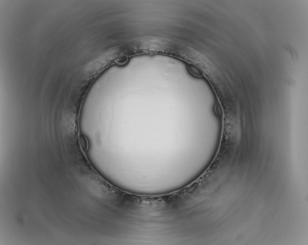 X0000114030401200910161824