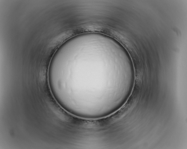 X0000114030402200910161824