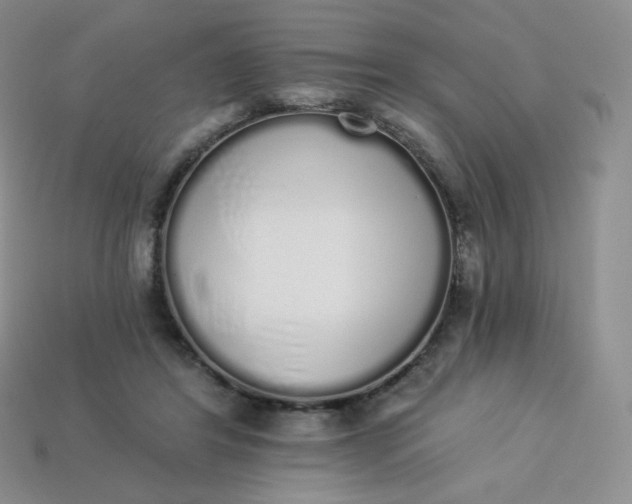 X0000114030404200910161824