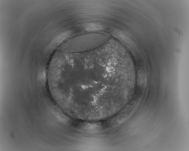 X0000114030405200910161824