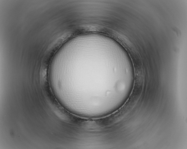 X0000114030406200910161824