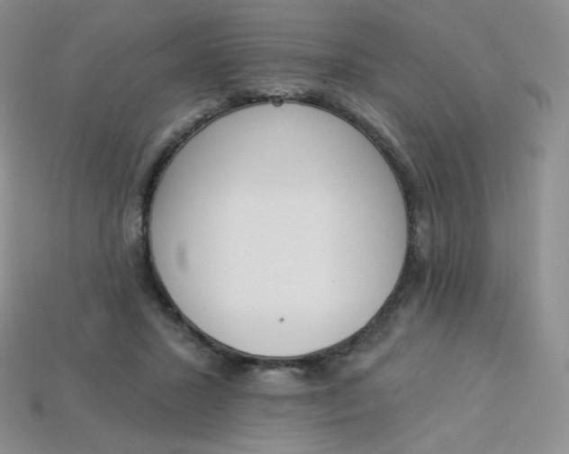 X0000114030407200910161824