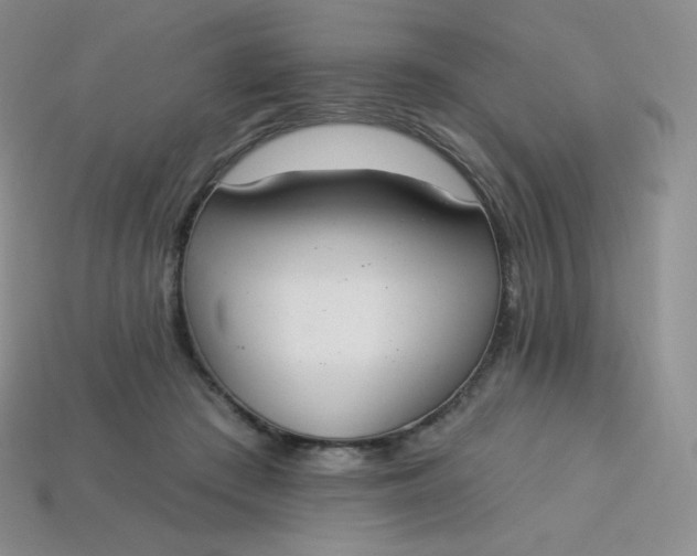 X0000114030409200910161824