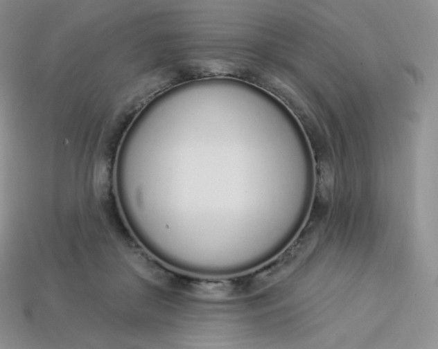 X0000114030410200910161824