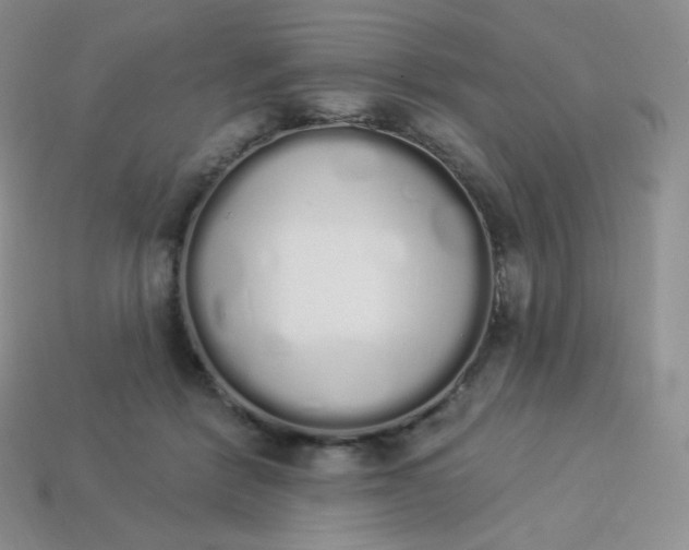 X0000114030412200910161824