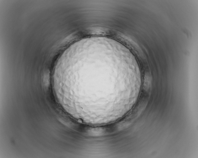 X0000114030413200910161824