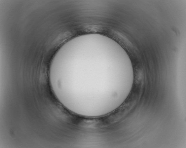 X0000114030414200910161824