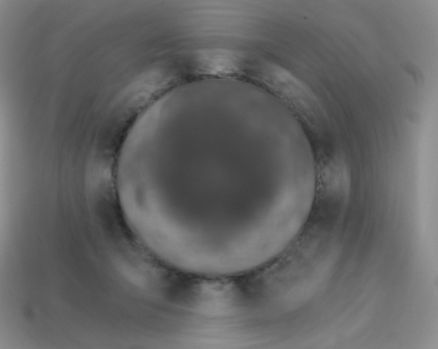 X0000114030415200910161824