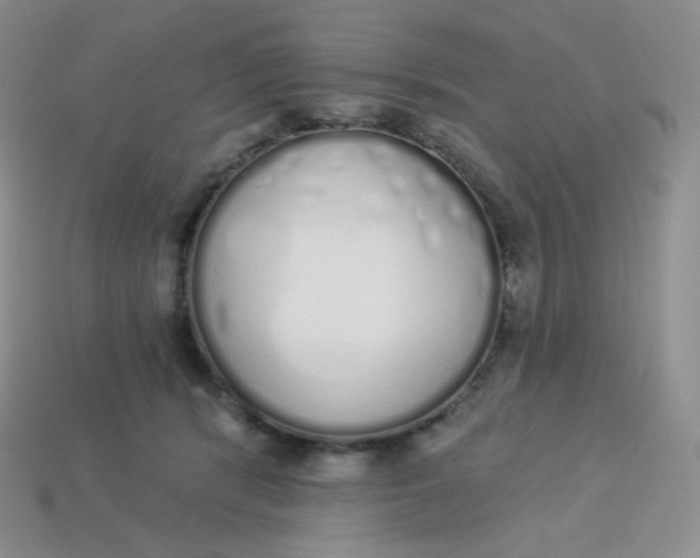 X0000114030416200910161824