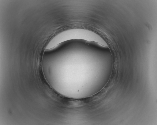 X0000114030417200910161824