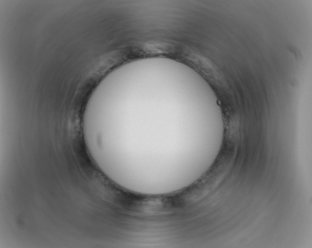 X0000114030418200910161824