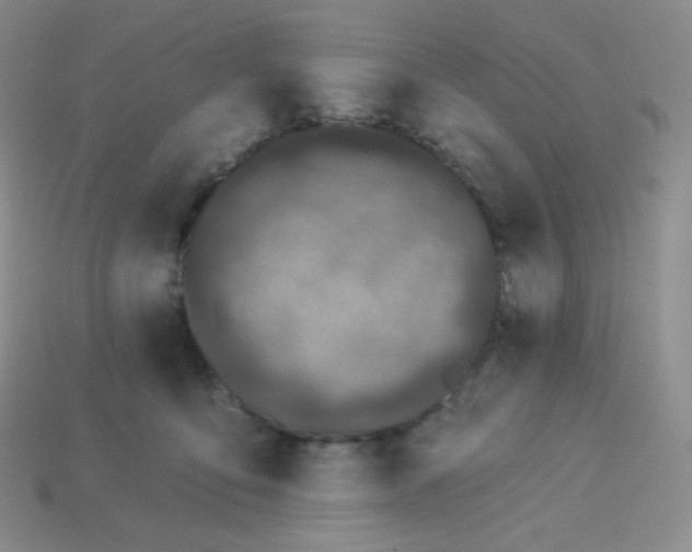 X0000114030419200910161824