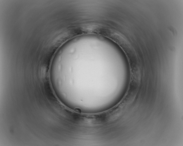 X0000114030420200910161824