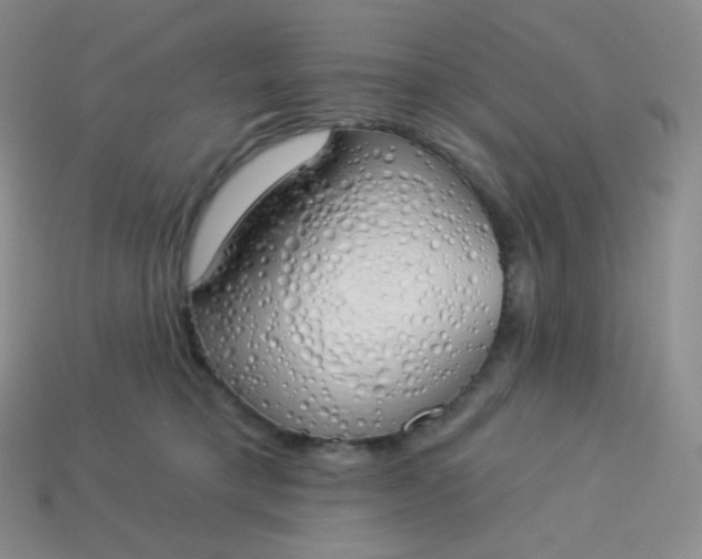 X0000114030421200910161824