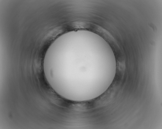 X0000114030422200910161824