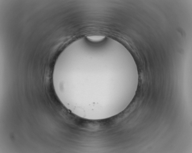 X0000114030423200910161824