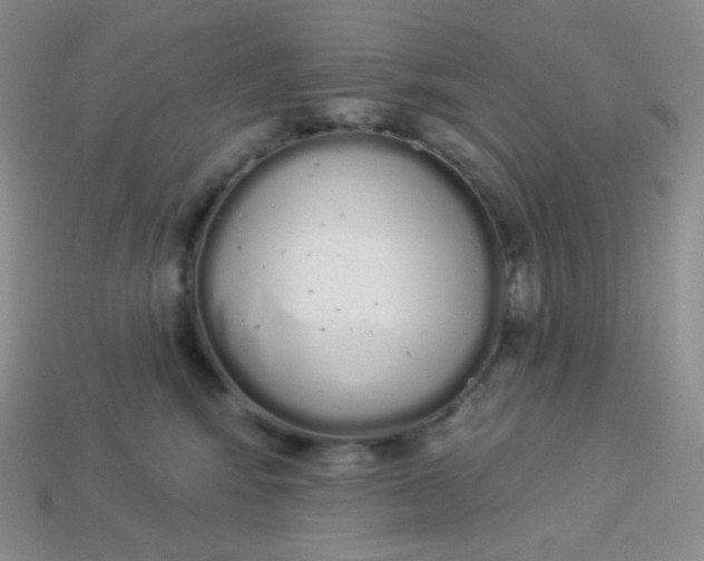 X0000114030424200910161824