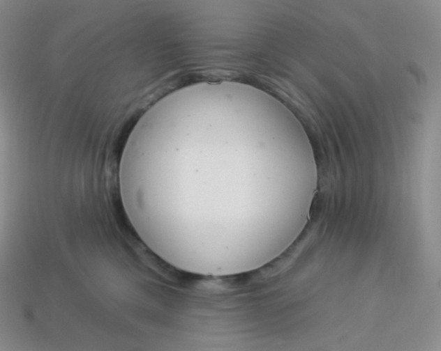 X0000114030425200910161824