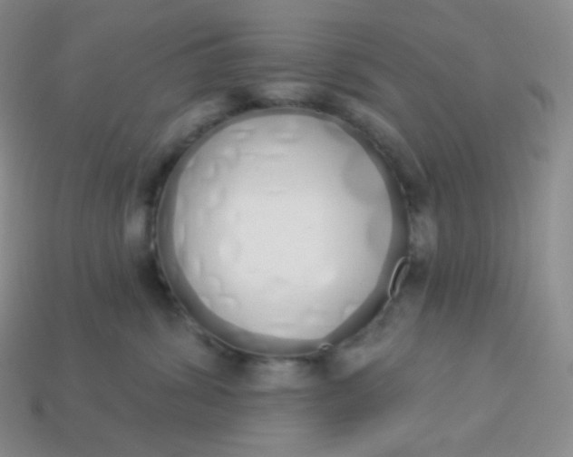 X0000114030428200910161824