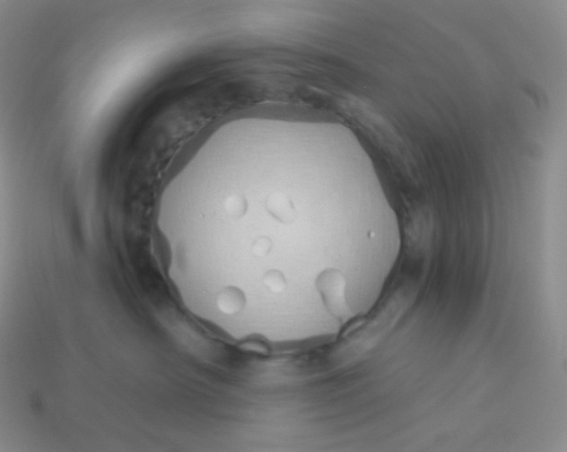 X0000114030430200910161824