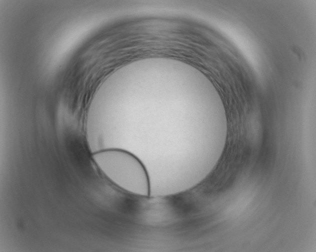 X0000114030431200910161824