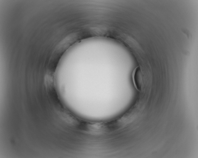 X0000114030432200910161824