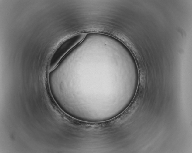 X0000114030434200910161823