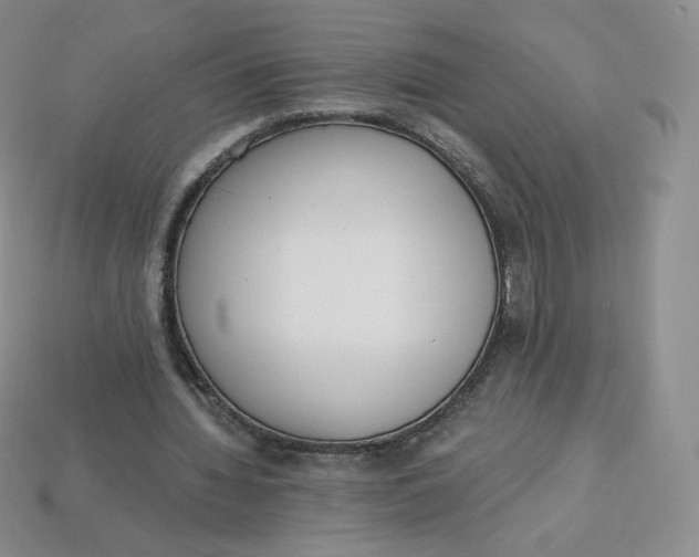 X0000114030436200910161823