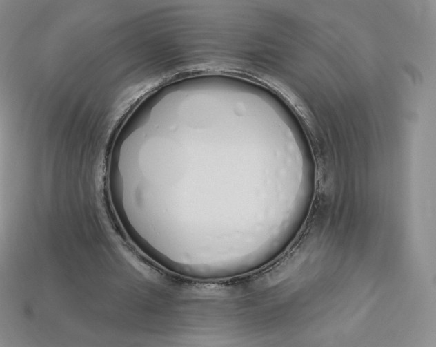 X0000114030437200910161823