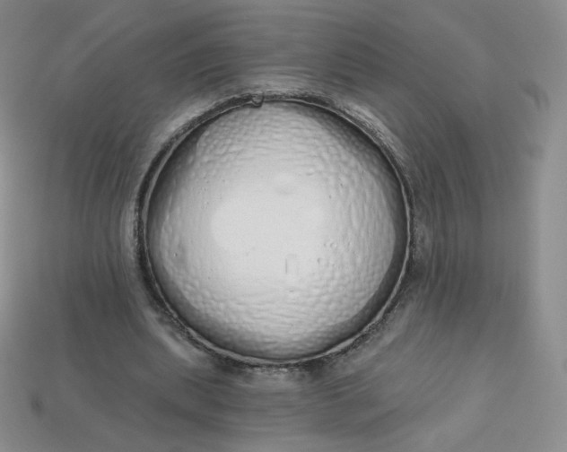 X0000114030439200910161823