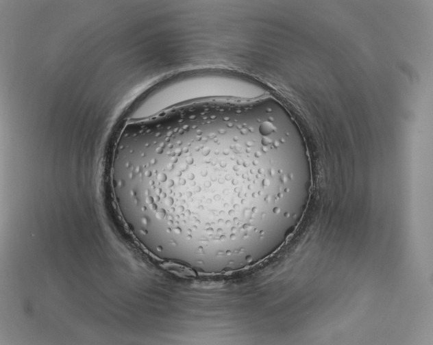 X0000114030440200910161823