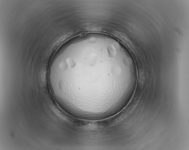 X0000114030441200910161823