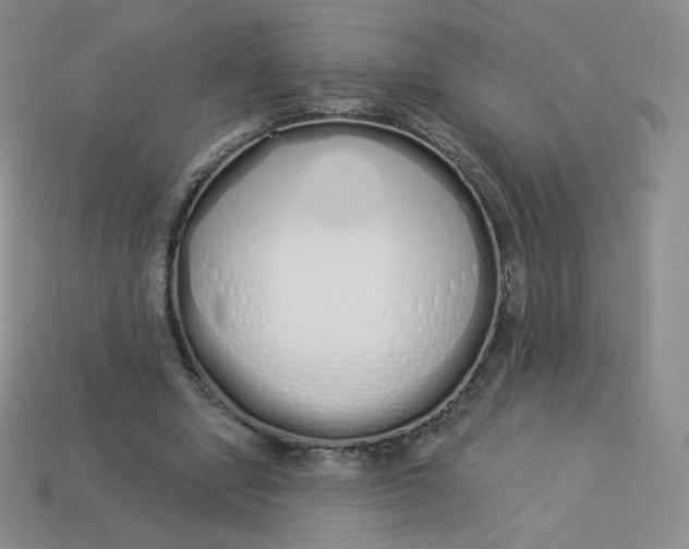 X0000114030442200910161823