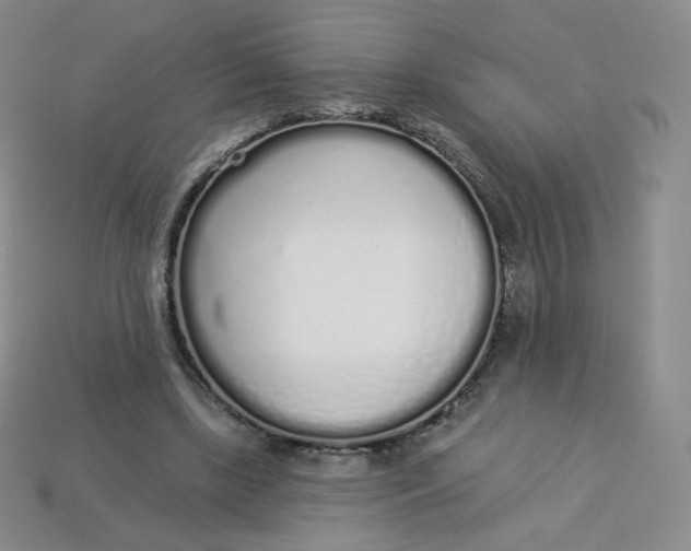 X0000114030443200910161823