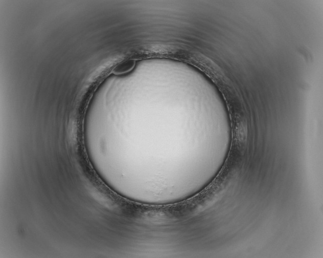 X0000114030444200910161823