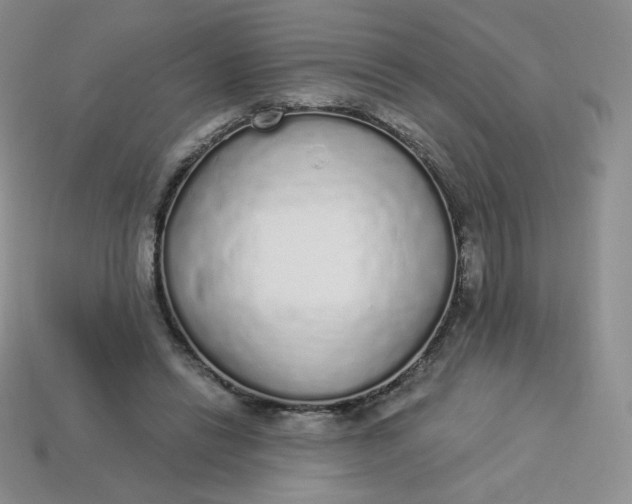 X0000114030446200910161823