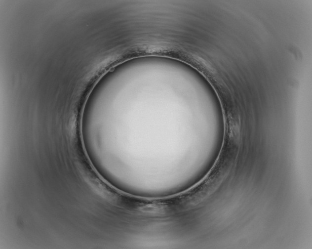 X0000114030447200910161823