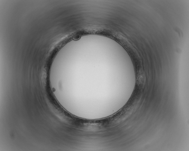 X0000114030448200910161823