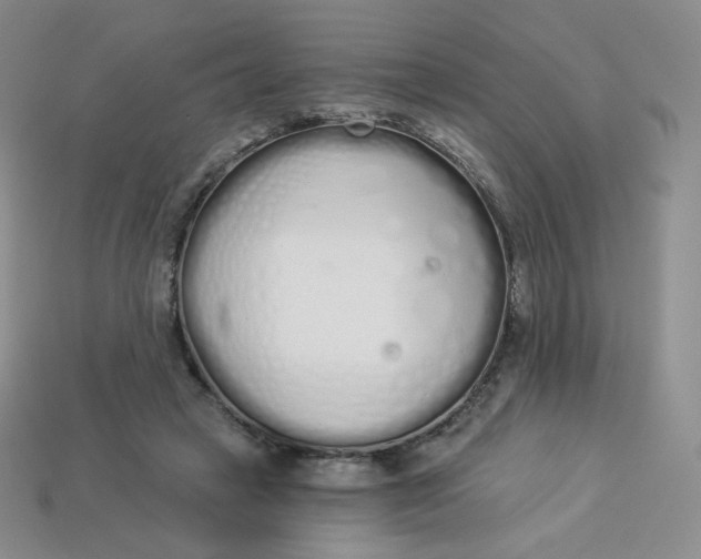 X0000114030449200910161823