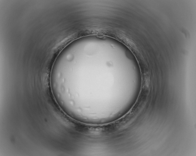 X0000114030450200910161823