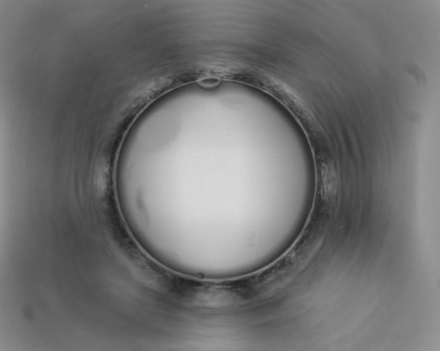 X0000114030451200910161823