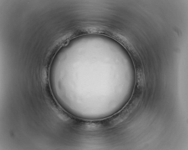 X0000114030453200910161823