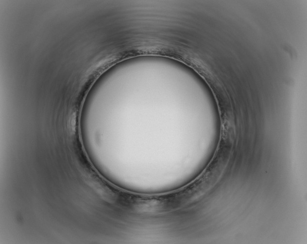 X0000114030454200910161823