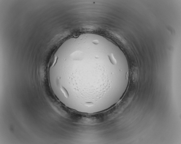 X0000114030455200910161823