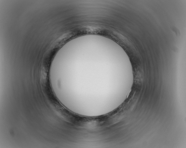 X0000114030456200910161823