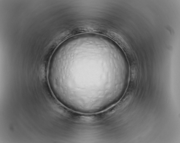 X0000114030457200910161823