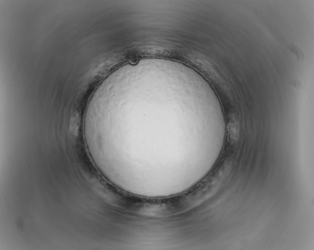 X0000114030458200910161823